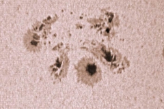 sonnenfleck-wexi-1